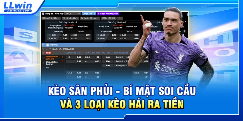 Kèo Sân Phủi - Bí Mật Soi Cầu Và 3 Loại Kèo Hái Ra Tiền