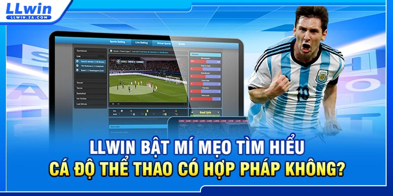 LLWIN bật mí mẹo tìm hiểu cá độ thể thao có hợp pháp không?