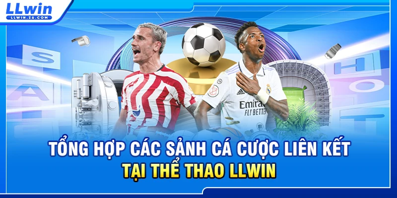 Tổng hợp các sảnh cá cược liên kết tại thể thao LLWIN
