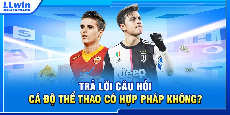 Trả lời câu hỏi cá độ thể thao có hợp pháp không?