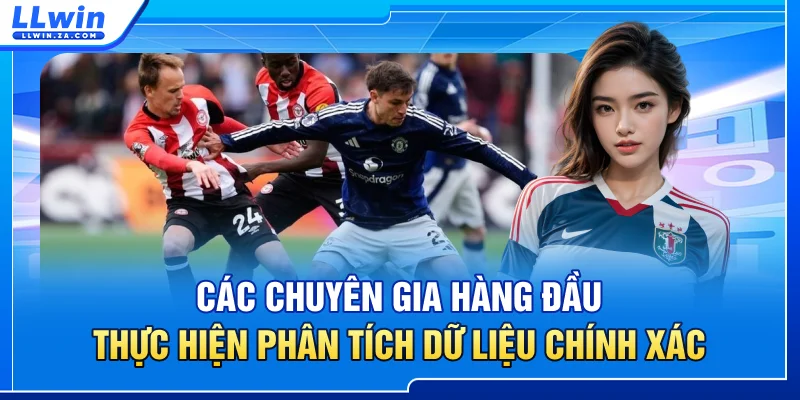 Các chuyên gia hàng đầu thực hiện phân tích dữ liệu chính xác